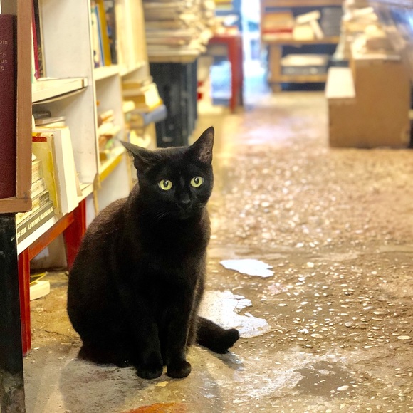 Meet your Posher, Catherine - Picture 6 of 7